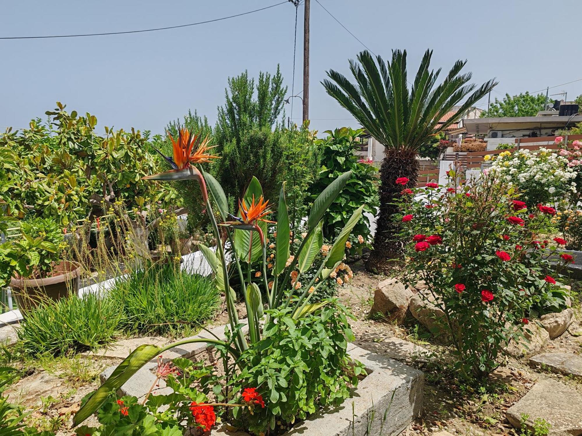 Konstantina'S Fairytale House Villa Kíssamos Екстериор снимка